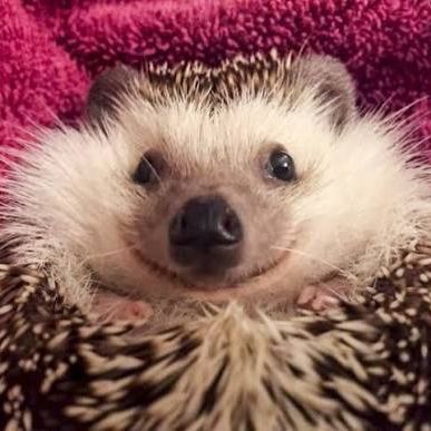 ezhiiii