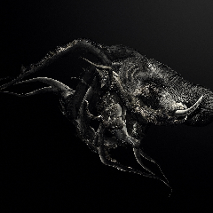 T_I_G_3_R