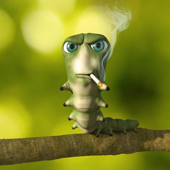rudziss