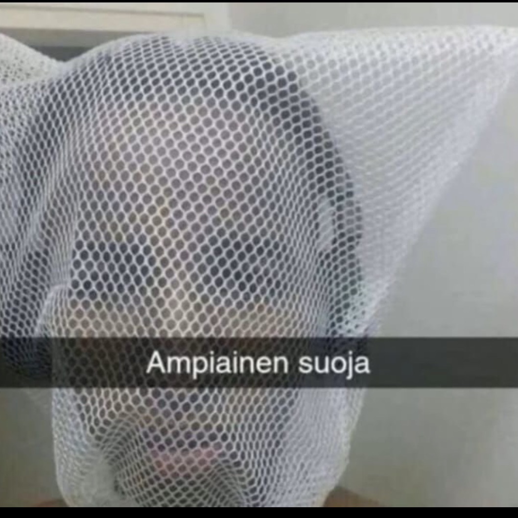 narkomaanit