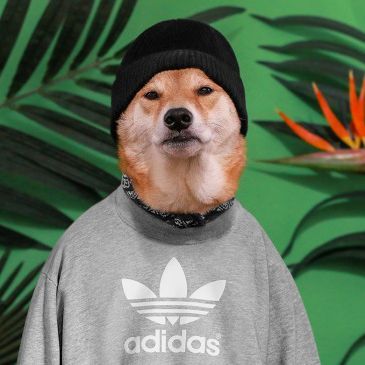 fl0w1h-
