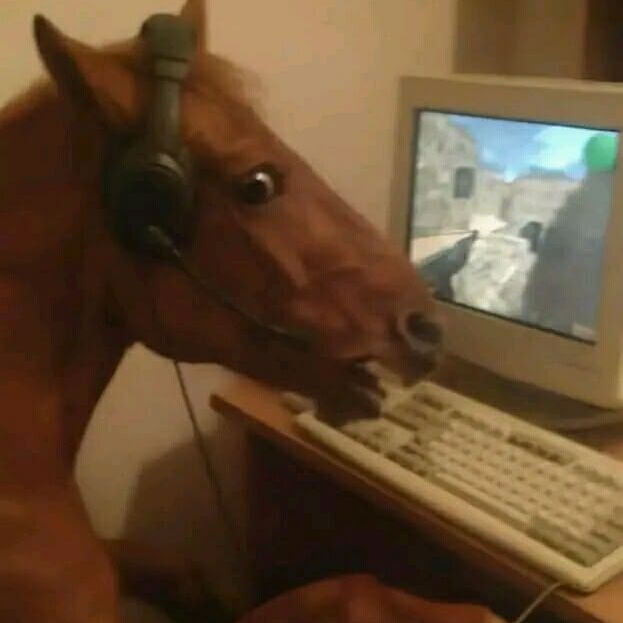 olboyqlique