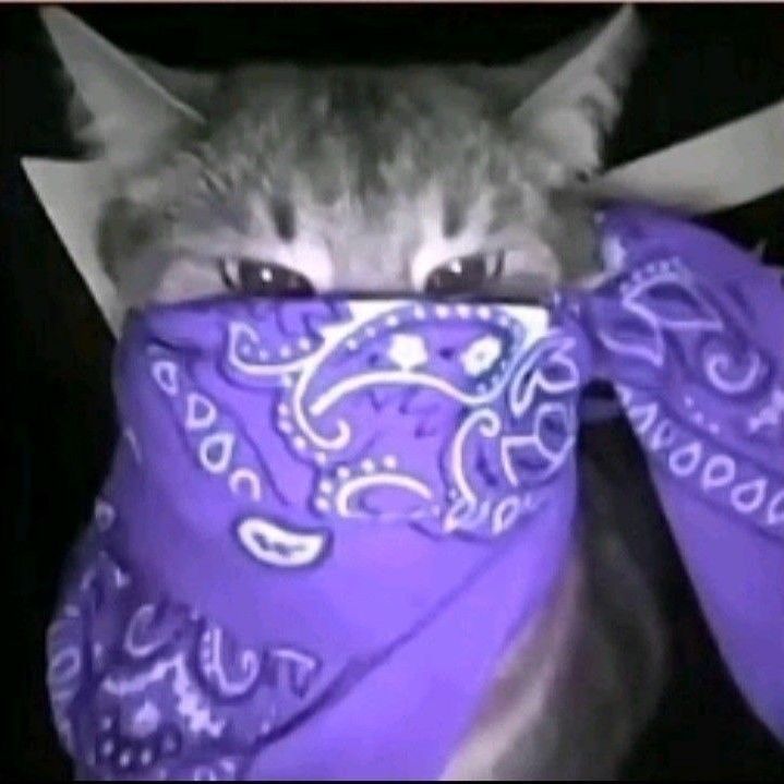 fkn7mad