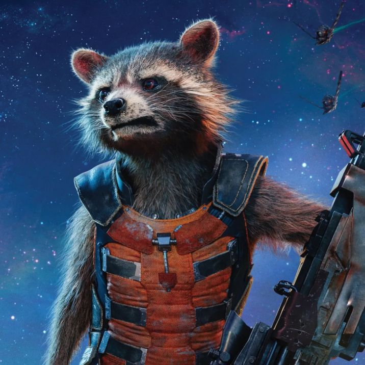 Rocketrcoon