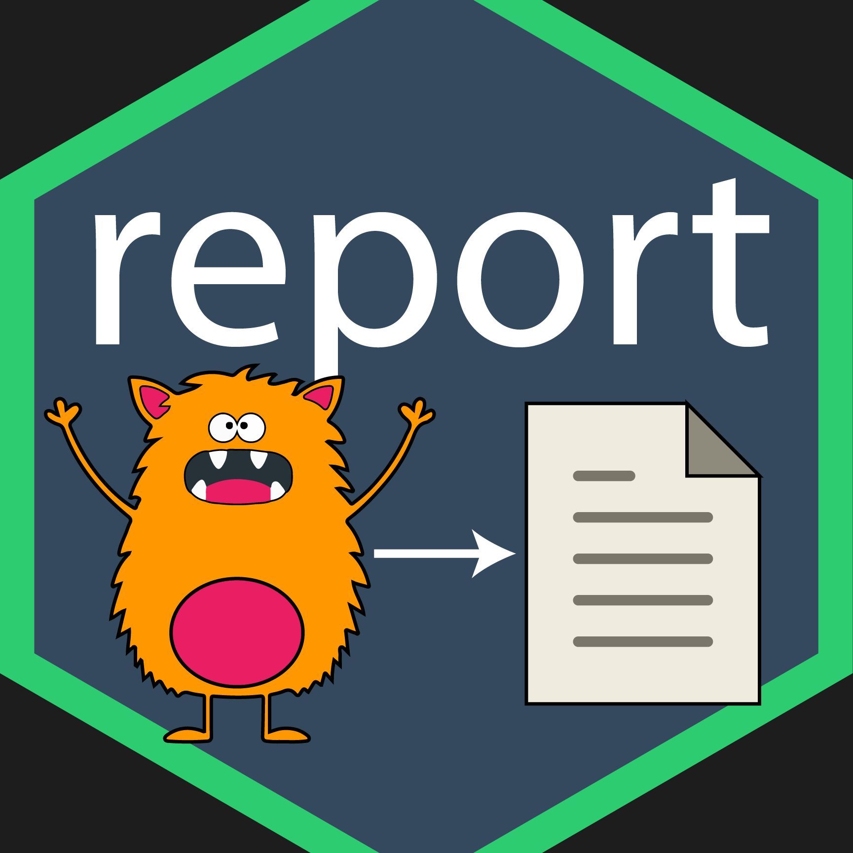 TEAM REPORT