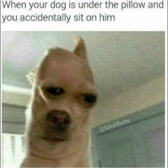 Kraghen