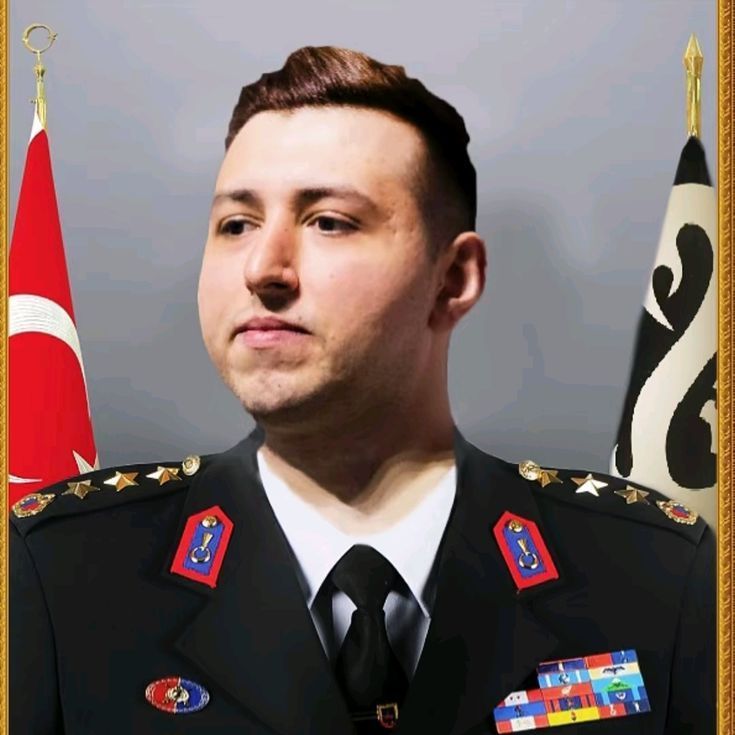 alihaydar