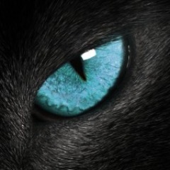 -kitooo