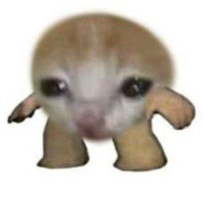 MajkiZXC