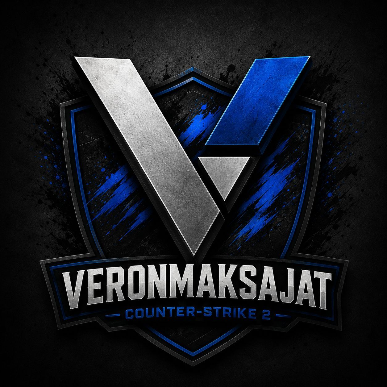 Veronmaksajat