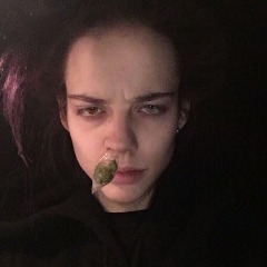 Narvyy