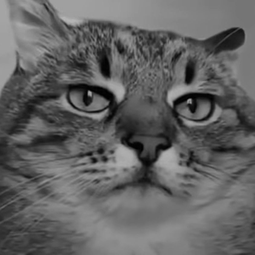 Sekko
