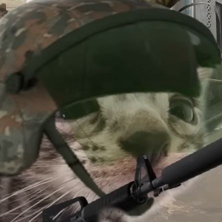SheAreMan