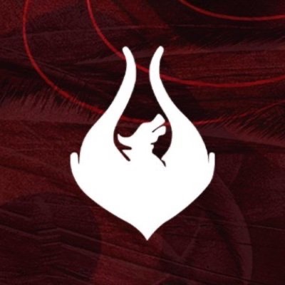 Team Phoenix
