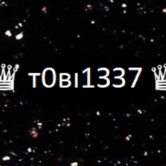 t0bi_1337