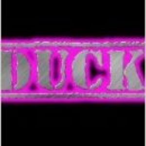 Sitting-Duck