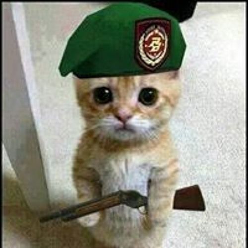 Aksu__