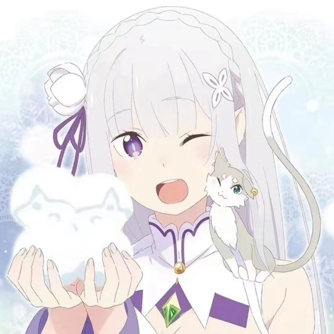 Emil1aQAQ