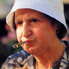 Stocqui