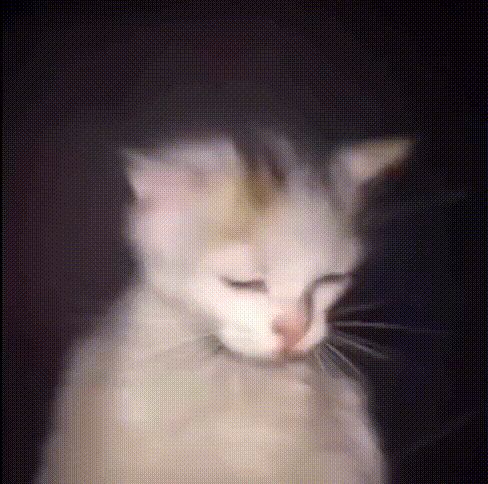 0verweight