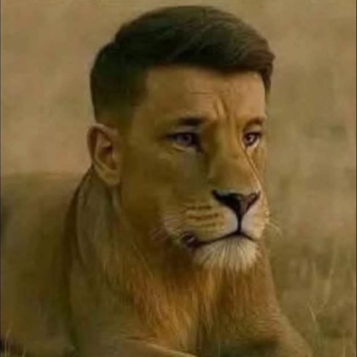 HGRR