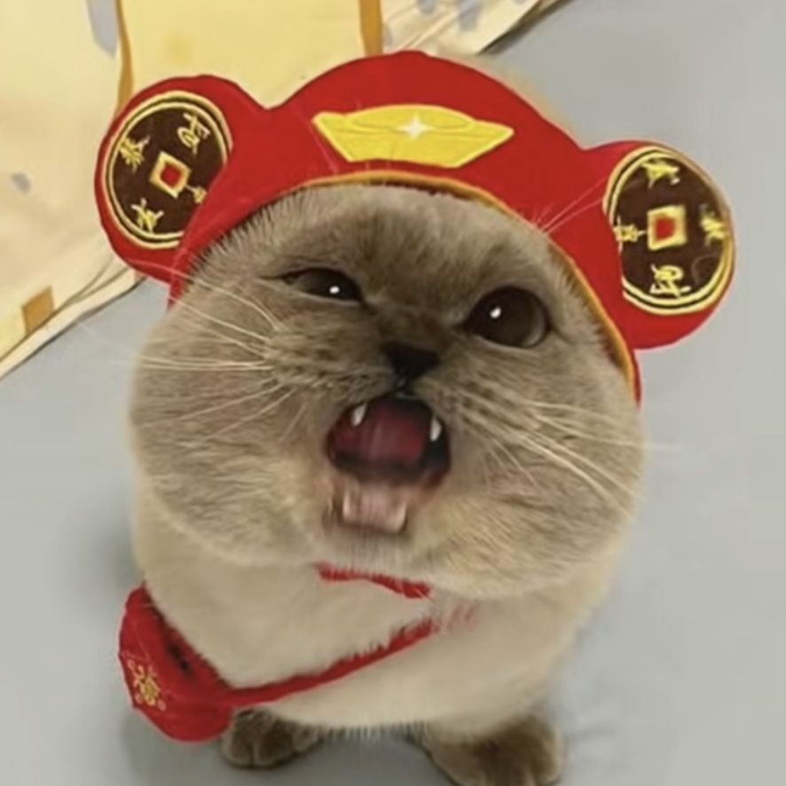 bonkie