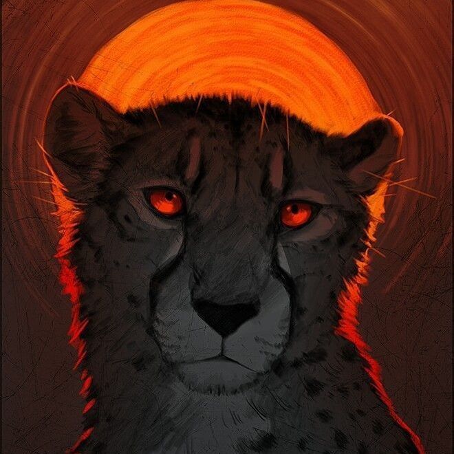 leopardius