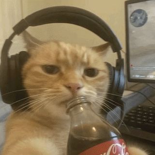_Alex2K