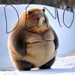 dem0o