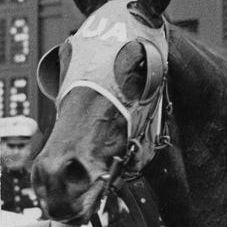 seanduckman