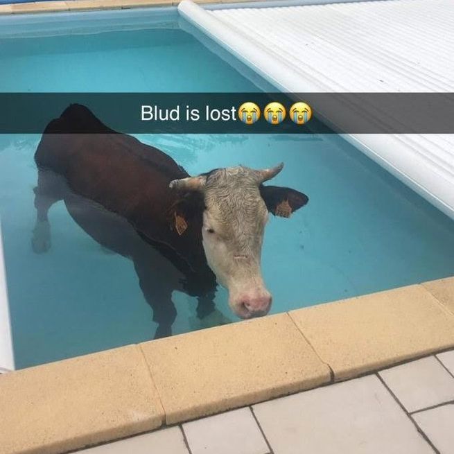 Lost in the Plot