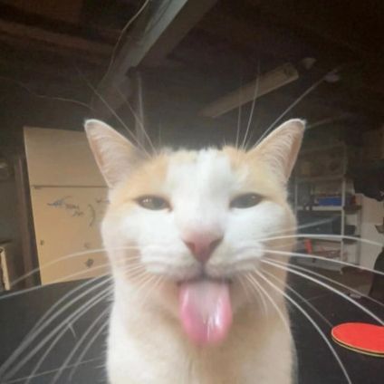 _basby