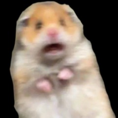 H4nfi