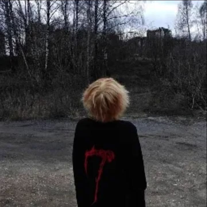 debozd1