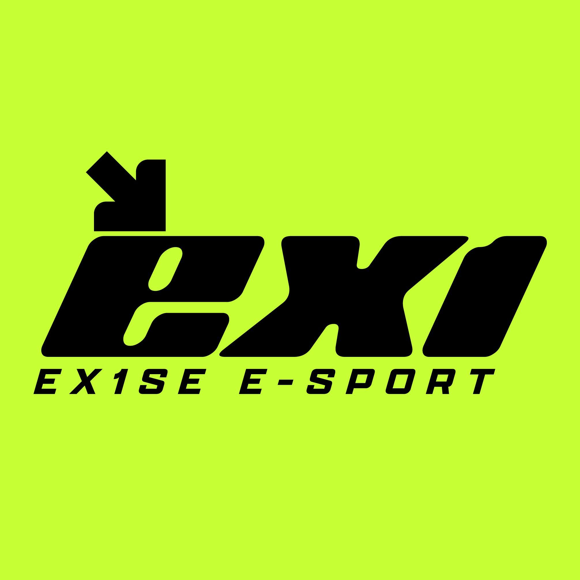 EX1SE