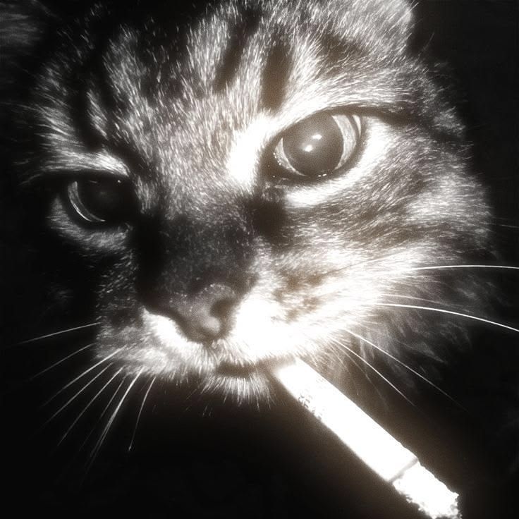 -pen