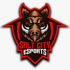 SaltCity Esport