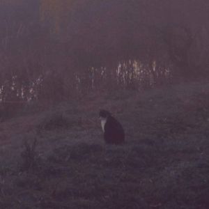 kaRTINka__