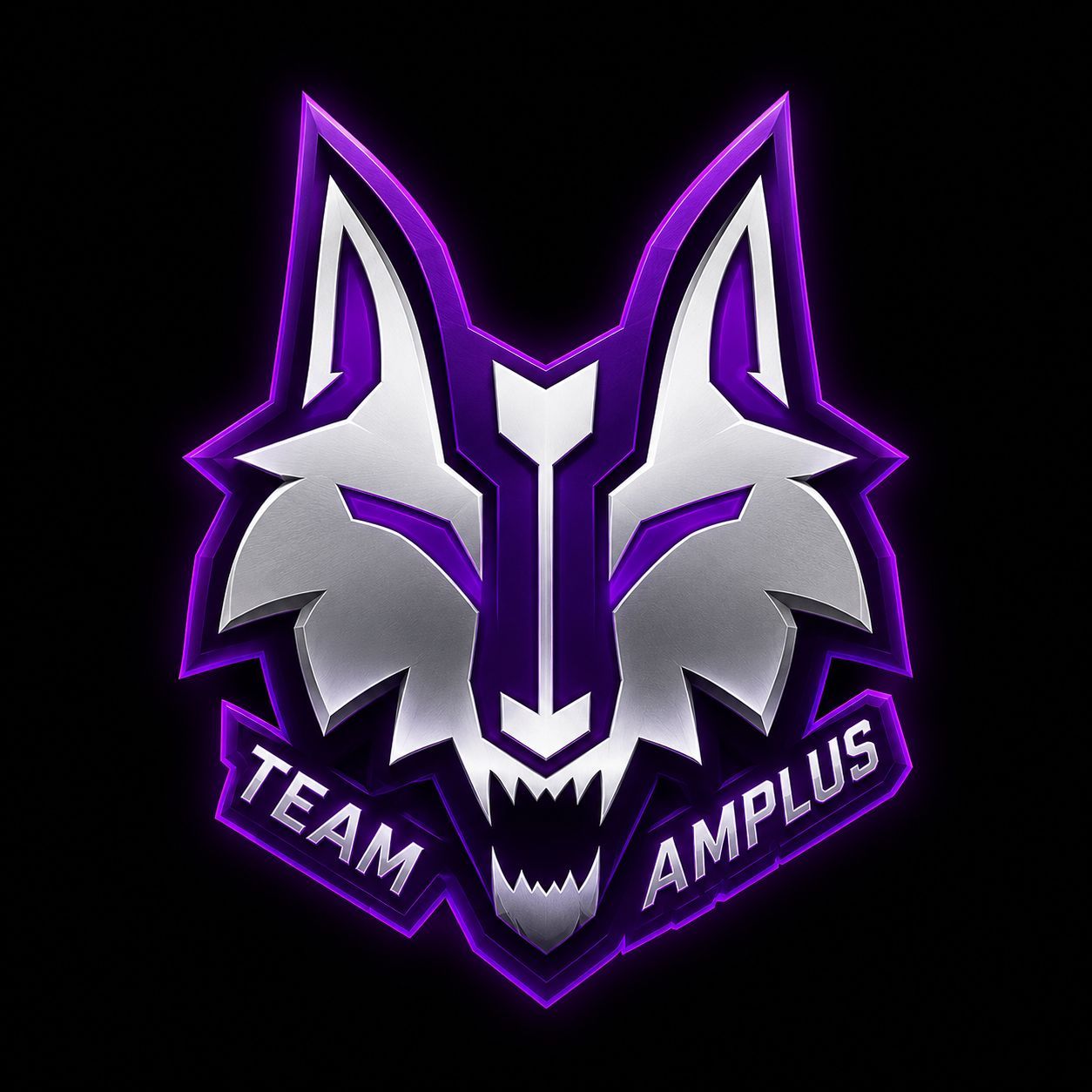 Team Amplus