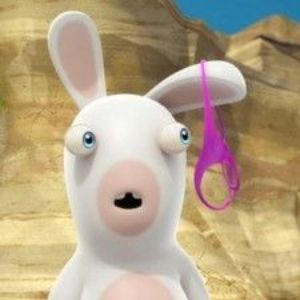 NoLR4BBIT