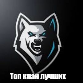 yandexlavka666