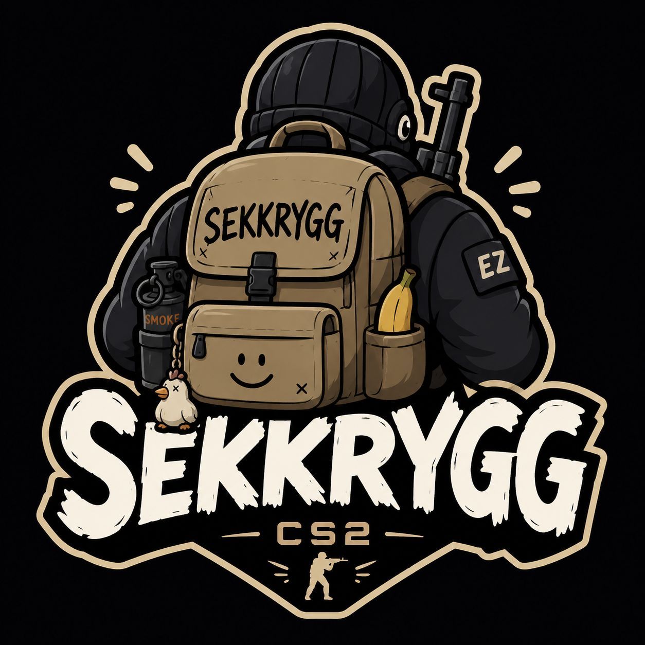 Team Sekkrygg