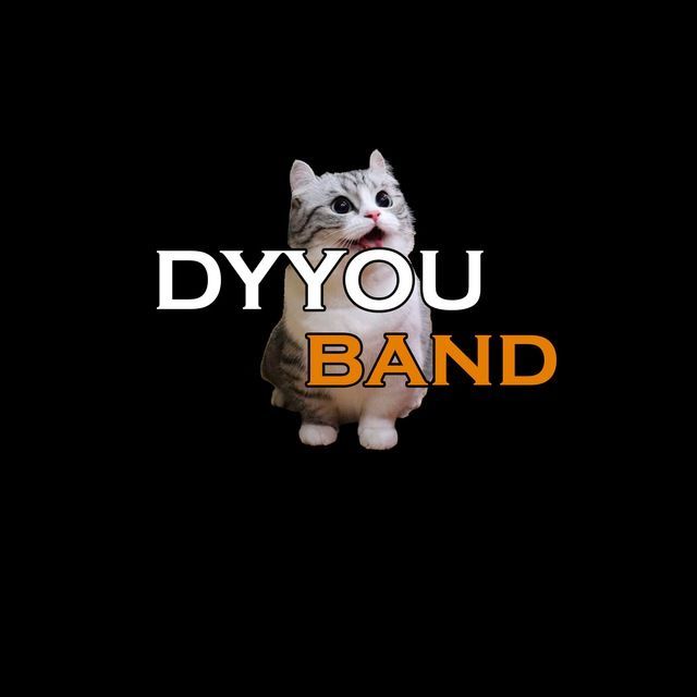 dyyou band