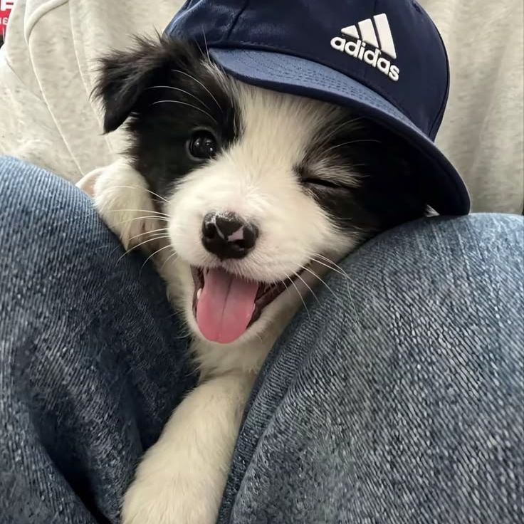 st3isy666