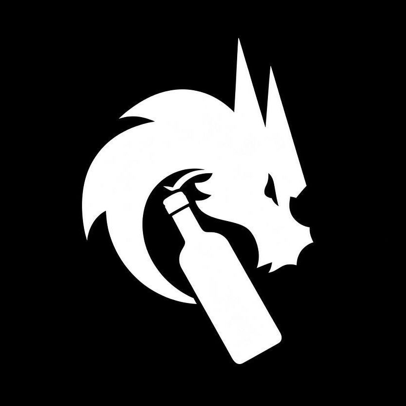 TeamSpirt