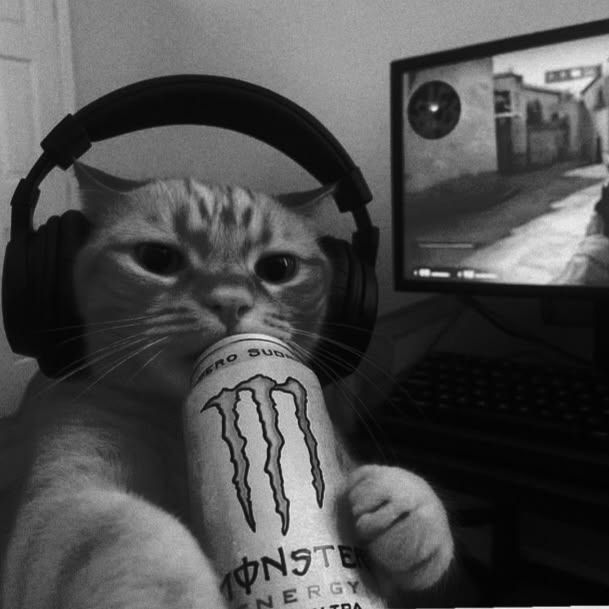 Mix-