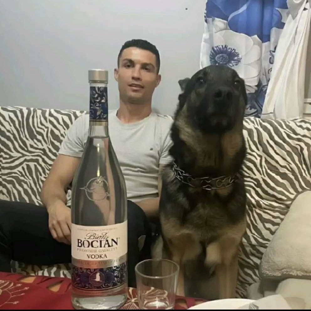 Kocziss