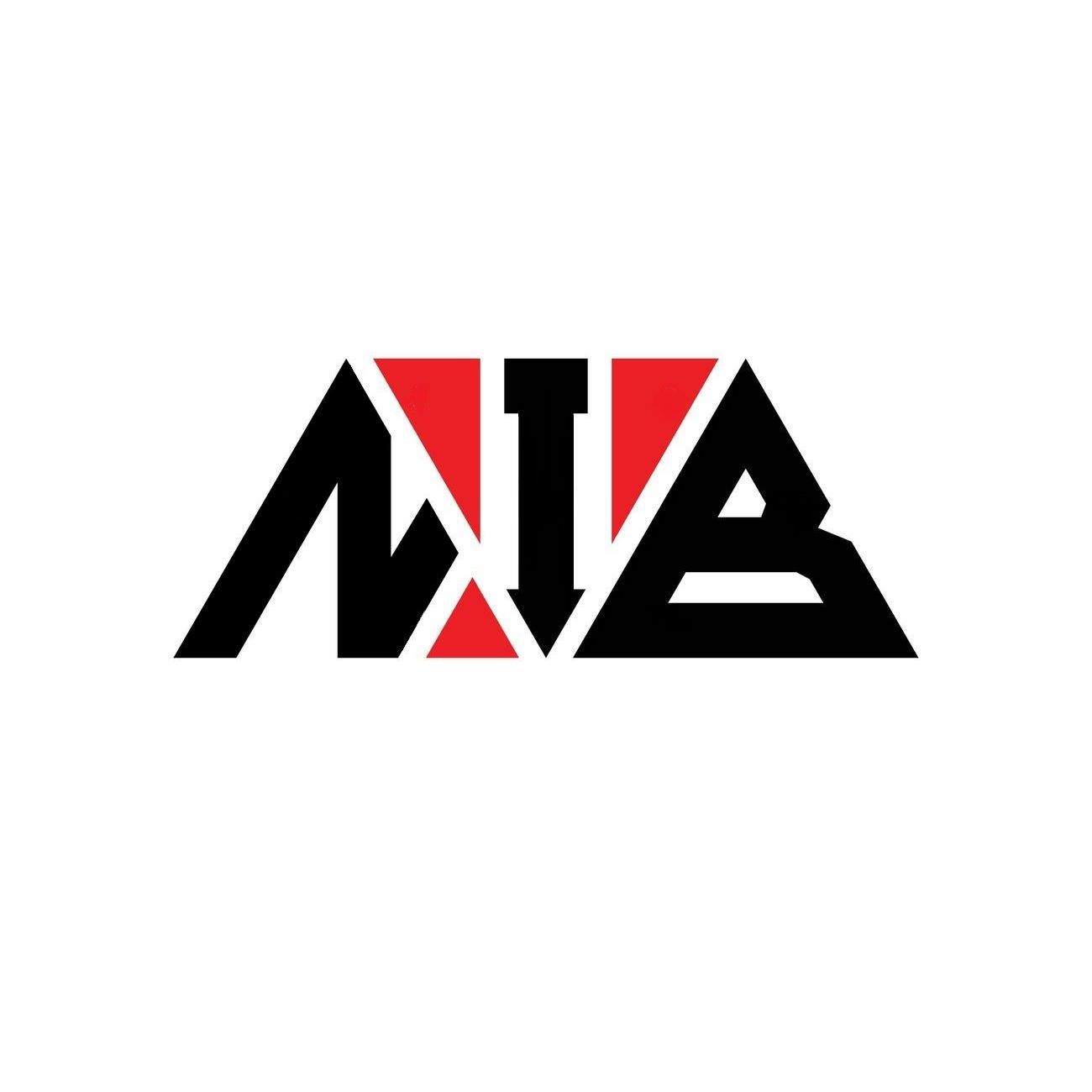 Ninjas In Boxer