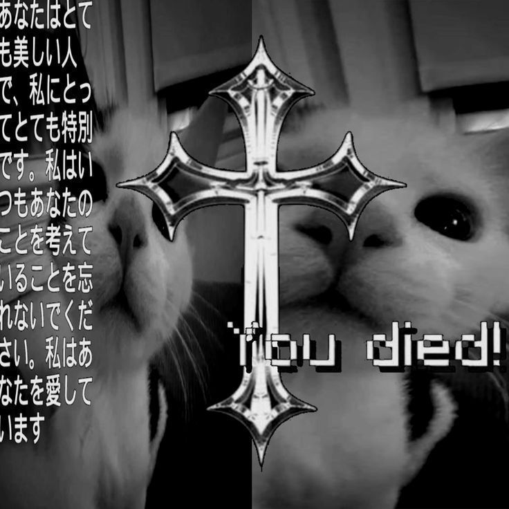 adadad