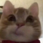 basil-_-